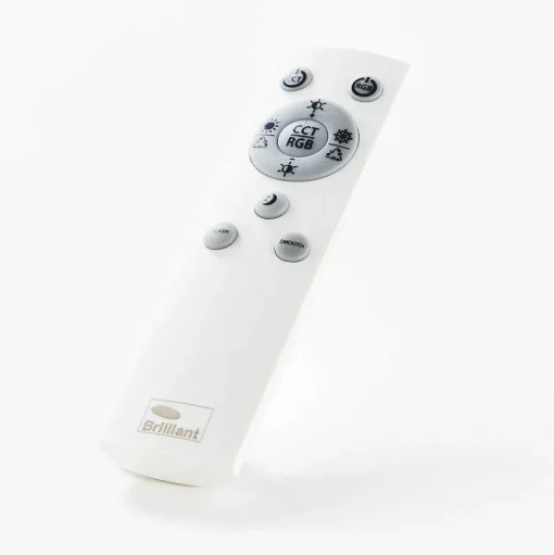 Plafonnier Brilliant-Leuchten Tessy Led Noir, 1 Lumiere, Telecommandes, Changeur De Couleurs