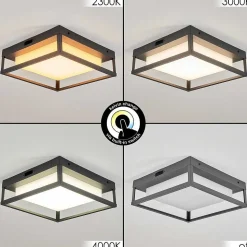 Plafonnier Exterieur Nonza Led Anthracite, 1 Lumiere