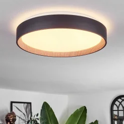 Plafonnier Sassemte Led Blanc, 1 Lumiere