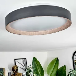 Plafonnier Sassemte Led Blanc, 1 Lumiere