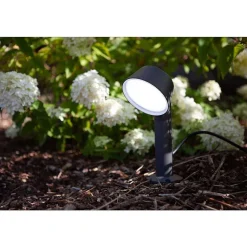 Spot Sur Pieu Lutec Dakota Led Anthracite, 1 Lumiere