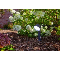 Spot Sur Pieu Lutec Dakota Led Anthracite, 1 Lumiere